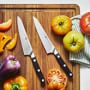 Zwilling Pro Prep Knives, Set of 2