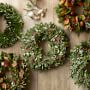 Holiday Fruit Live Wreath, 22&quot;