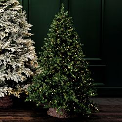 Balsam Hill Traditional Colorado Green Pre-Lit Spruce, 6.5'-9'