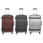 VinGardeValise Grande Wine Luggage, 12 Bottles