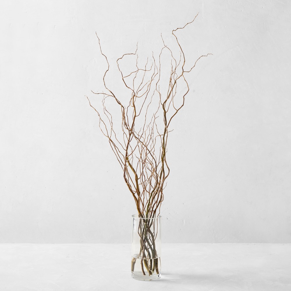 Curly Willow Branches
