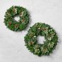Variegated Holly &amp; Holiday Greenery Live Wreath &amp; Garland