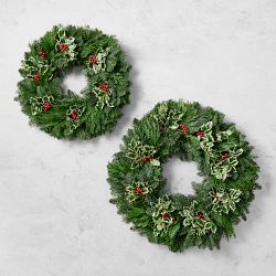 Variegated Holly &amp; Holiday Greenery Live Wreath &amp; Garland