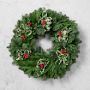 Variegated Holly & Holiday Greenery Live Wreath, 22"