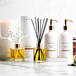 Home Fragrance  Deluxe Hand Soap &amp; Lotion 3-Piece Set, Citrus &amp; Sage