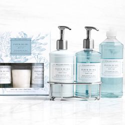 Williams Sonoma Fleur De Sel Guest Set