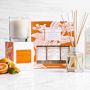 Williams Sonoma Sunny Orange Citrus Diffuser