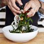Open Kitchen by Williams Sonoma Serving Bowls