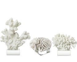 White Coral On Glass Stand