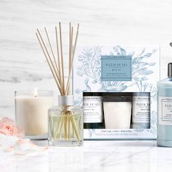 Williams Sonoma Fleur De Sel Guest Set