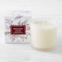 Williams Sonoma Winter Berry Candle, Large