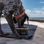 YETI Boomer Dog Bowl