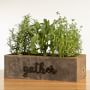 Live Triple Herb Garden in Gather Wooden Planter, 8&quot;