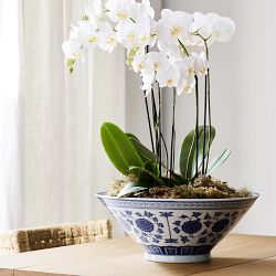 Ginger Jar Bowl, Blue and White