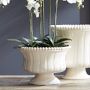 Coletta Flared Vase