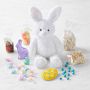 Pottery Barn Kids x Williams Sonoma Large Classic Gingham Easter Basket