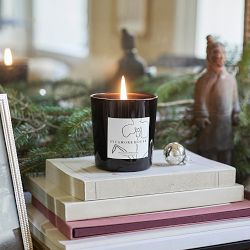 Williams Sonoma Home x Josh Young Sycamore House Candle