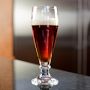 Fortessa Basic Brussels Pilsner Beer Glasses, Set of 6