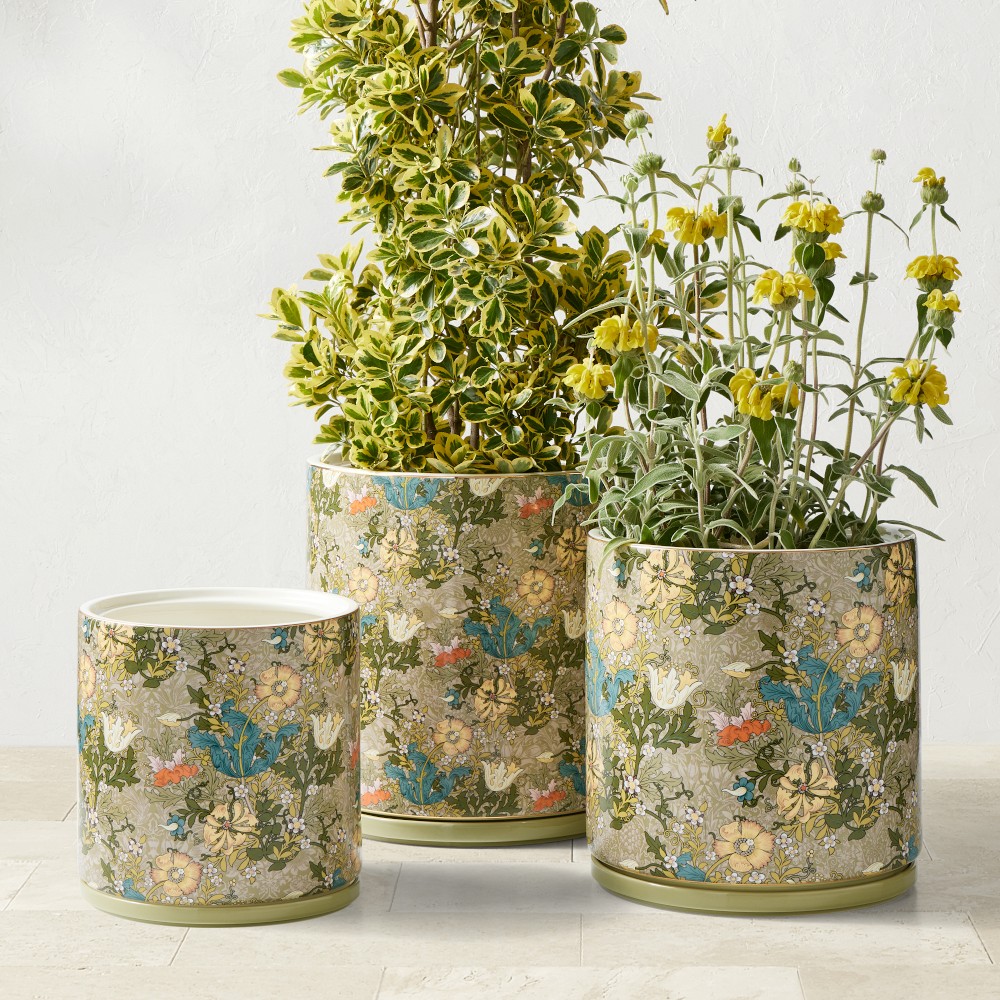 Morris and Co Cotswold Collection