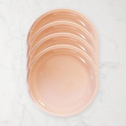 Jars Cantine Dinner Plates, Set of 4