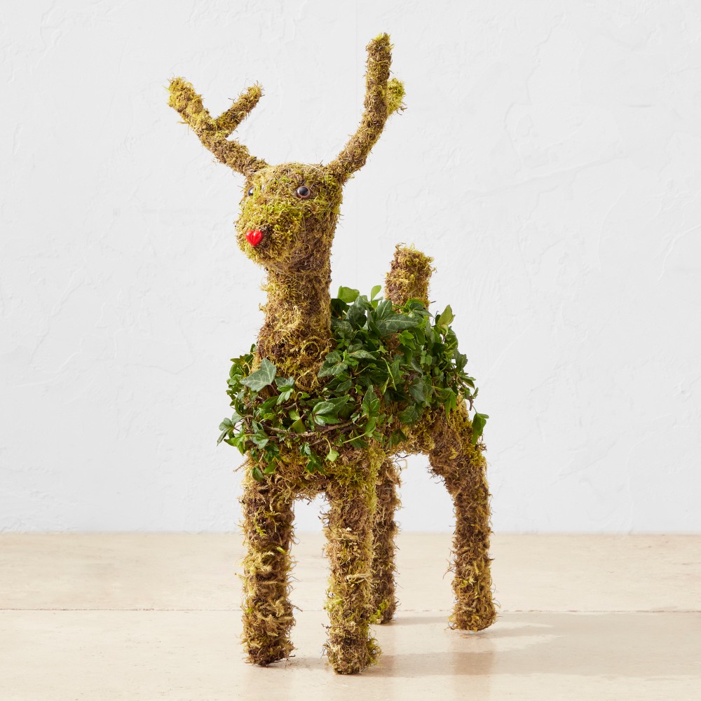 Ivy & Moss Standing Reindeer Topiary, 19"