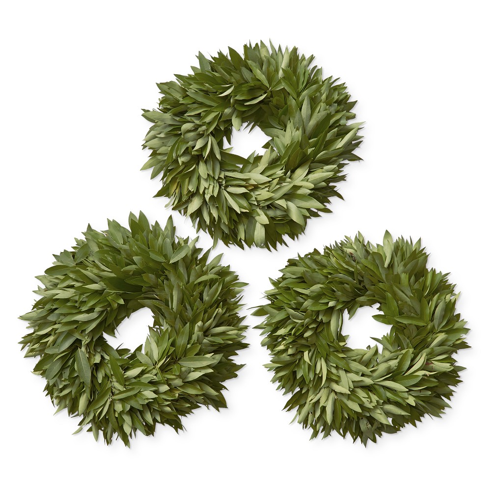 15" Bay Leaf  Wreaths, Set of 3, Dec 2 - Dec 13 (Order by Dec 6)