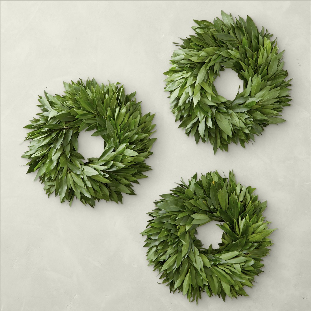 15" Bay Leaf  Wreaths, Set of 3, Nov 4 - Nov 15 (Order by Nov 8)