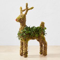 Ivy &amp; Moss Standing Reindeer Topiary, 19&quot;