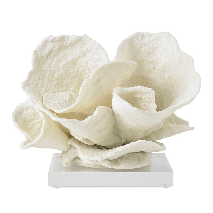 ホワイトコーラル装飾品 約15cm Oversized Coral on Stand Sculpture | Williams Sonoma