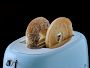 Video 1 for SMEG 4x4 4-Slice Toaster
