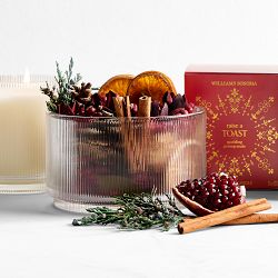Raise A Toast Sparkling Pomegranate Potpourri