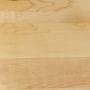 Maple with Black Cup