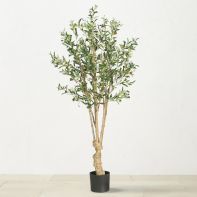 Live & Faux Trees image