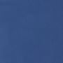 Bright Blue