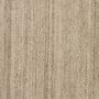 Birch