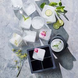 Williams Sonoma Classic King Cube Tray with Lid, Set of 2