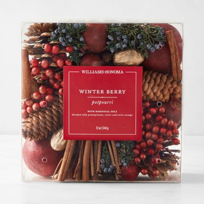 Williams Sonoma Winter Forest Potpourri