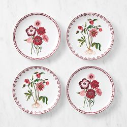 AERIN x Williams Sonoma Alpine Salad Plates Mixed, Set of 4
