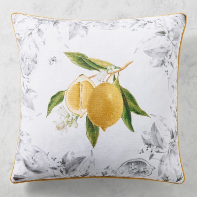 Meyer Lemon Indoor Outdoor Pillow, 22&quot; X 22&quot;