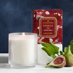 Williams Sonoma Seasonal Home Scents Candle, Bordeaux Fig