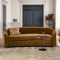 Sofas & Loveseats image