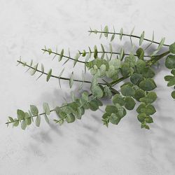 Faux Baby Blue Eucalyptus