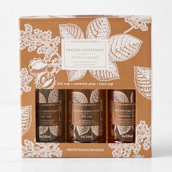 Williams Sonoma Winter Berry Kitchen Essentials Kit