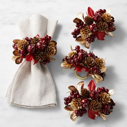 Kim Seybert x Williams Sonoma Botanical Spray Napkin Rings, Set of 4 