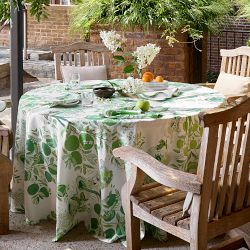 Matouk Schumacher Citrus Garden Placemats, Set of 4