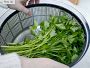 Video 1 for Williams Sonoma Salad Spinner