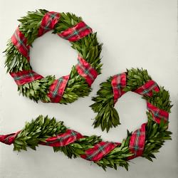 Bay Leaf Live Wreath with Tartan Ribbon, 22&quot;
