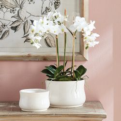 Faux Phalaenopsis Orchid Mini Garden Drop-In, 16"