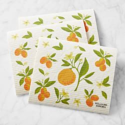 Citrus Sponge Dishcloths, Set of 3
