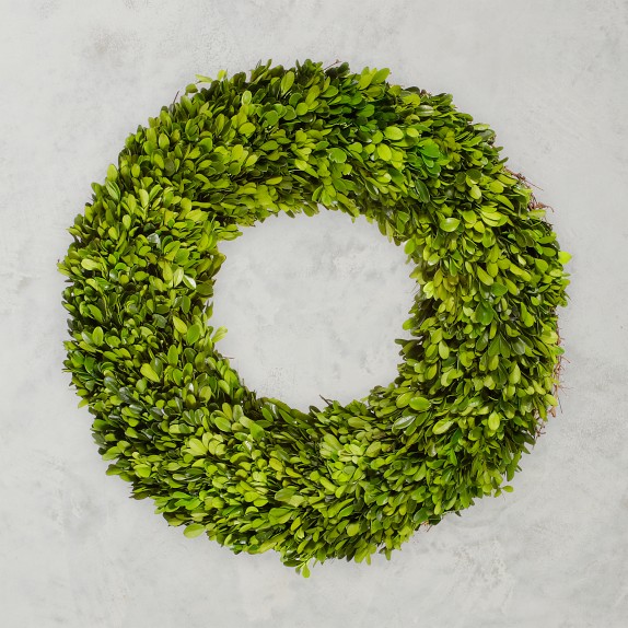 Boxwood Live Wreath, 20"